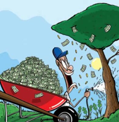 current use money from trees