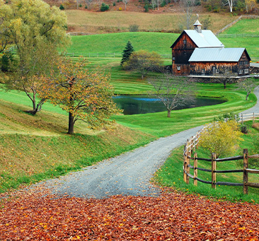 Vermont street